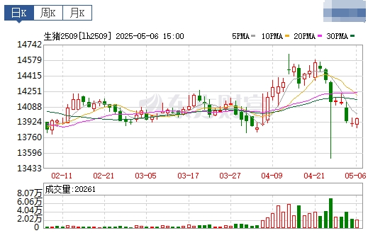 今日猪价 | 2025.05.07 猪价行情