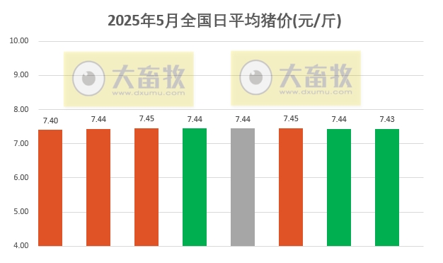 今日猪价 | 2025.05.08 猪价行情