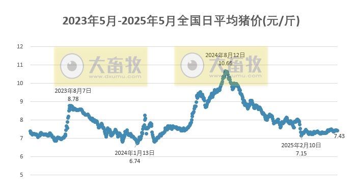 今日猪价 | 2025.05.08 猪价行情