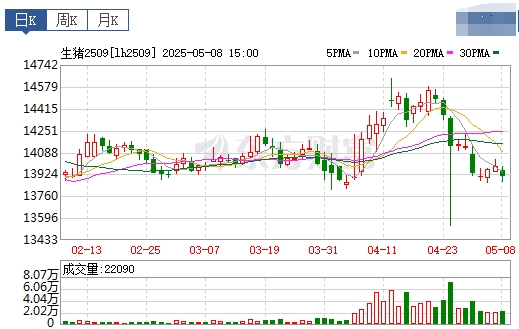 今日猪价 | 2025.05.09 猪价行情