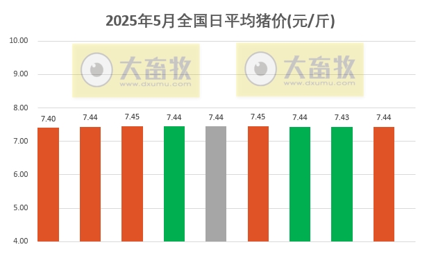 今日猪价 | 2025.05.09 猪价行情