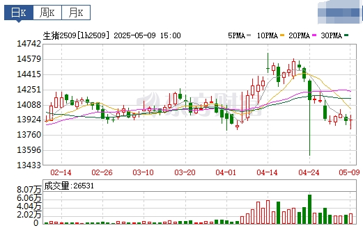 今日猪价 | 2025.05.10 猪价行情