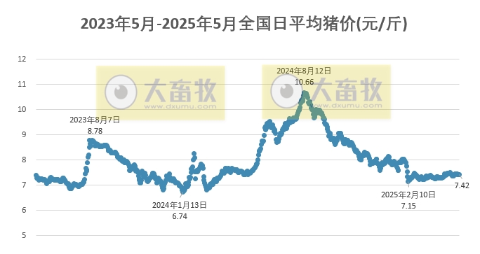 今日猪价 | 2025.05.10 猪价行情