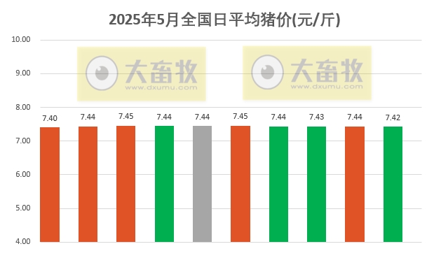 今日猪价 | 2025.05.10 猪价行情