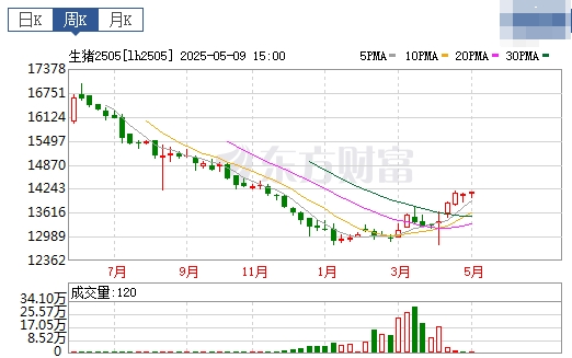 今日猪价 | 2025.05.11 猪价行情