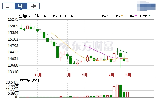 今日猪价 | 2025.05.11 猪价行情