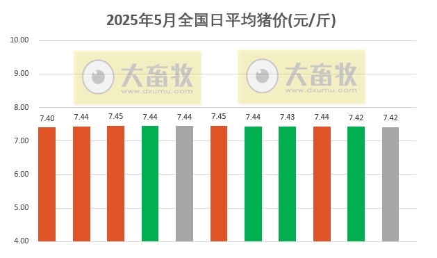今日猪价 | 2025.05.11 猪价行情