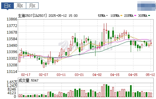 今日猪价 | 2025.05.13 猪价行情