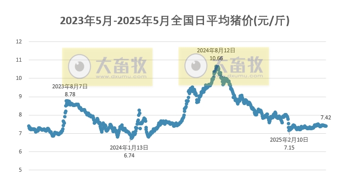 今日猪价 | 2025.05.13 猪价行情