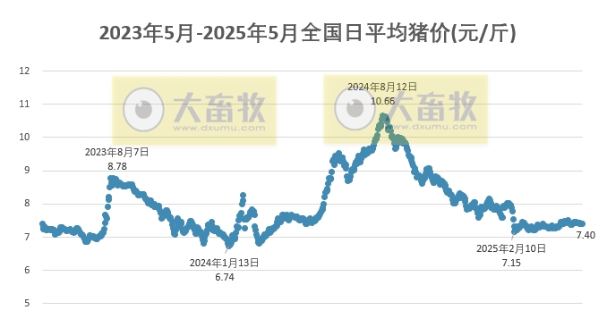 今日猪价 | 2025.05.14 猪价行情
