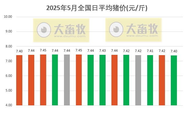 今日猪价 | 2025.05.14 猪价行情