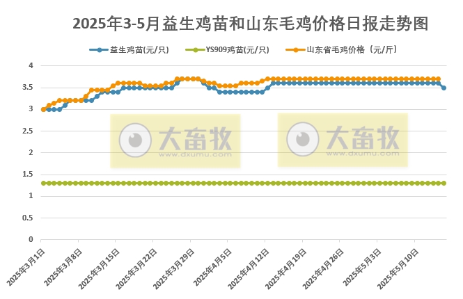 2025年5月15日益生鸡苗行情资讯