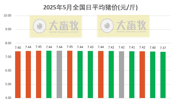 今日猪价 | 2025.05.15 猪价行情