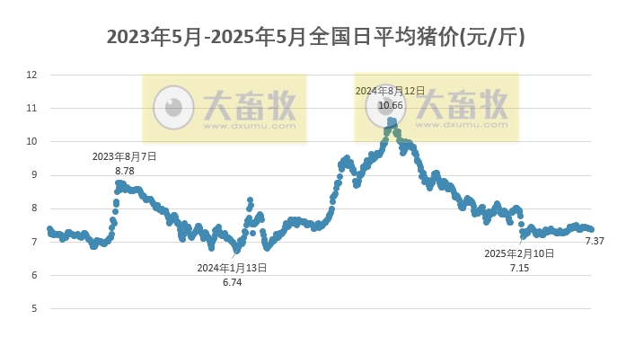 今日猪价 | 2025.05.15 猪价行情