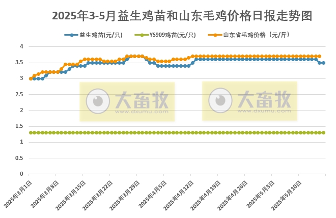 2025年5月16日益生鸡苗行情资讯