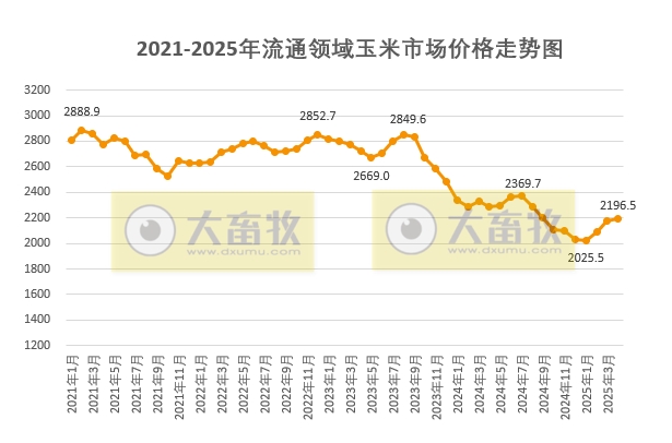 2025年5月中国玉米供需形势分析——种植面积增长