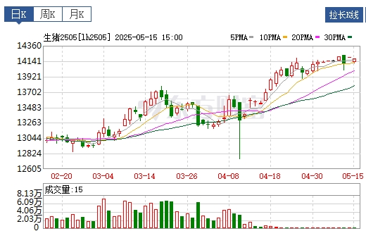 今日猪价 | 2025.05.16 猪价行情