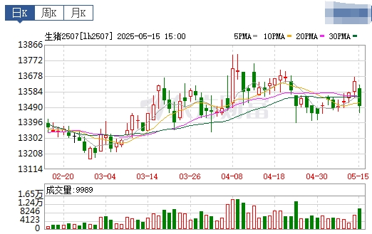 今日猪价 | 2025.05.16 猪价行情