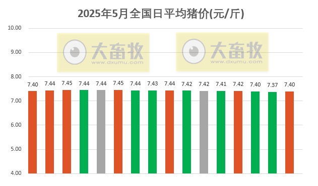 今日猪价 | 2025.05.16 猪价行情
