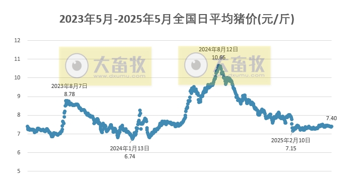 今日猪价 | 2025.05.16 猪价行情