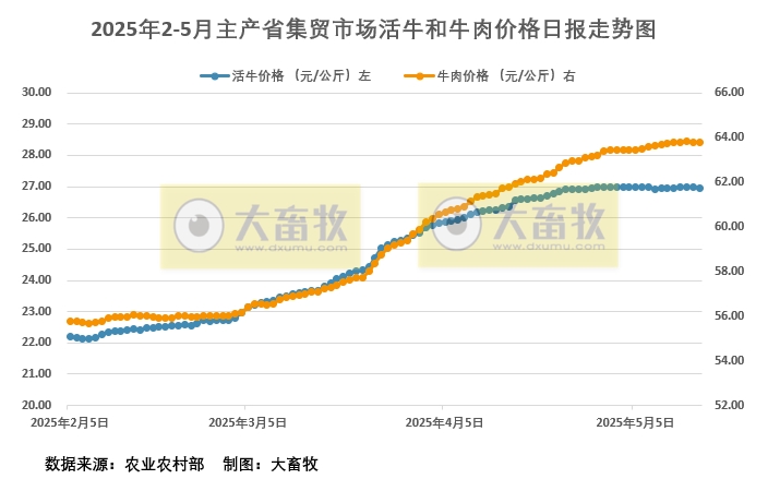 2025年5月15日活牛和牛肉价格