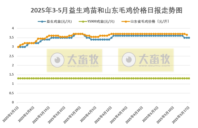 2025年5月17日益生鸡苗行情资讯