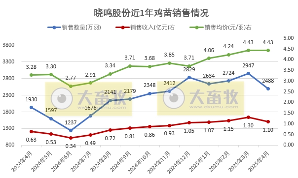 益生、民和和晓鸣2025年4月及前4月鸡苗销售情况