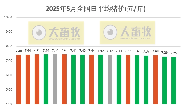 今日猪价 | 2025.05.18 猪价行情——跌至近2个多月最低价