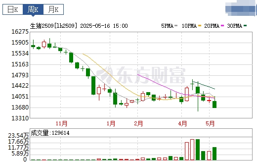 今日猪价 | 2025.05.18 猪价行情——跌至近2个多月最低价