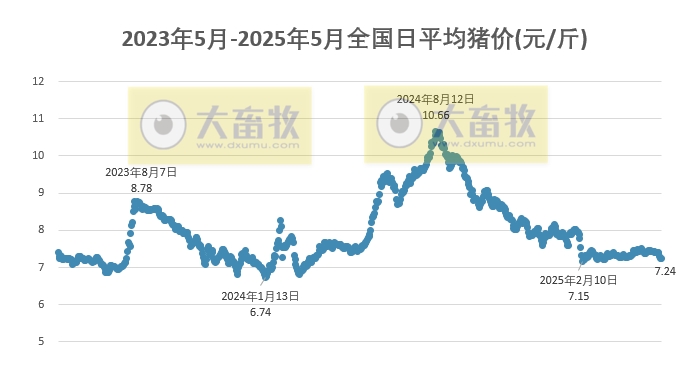 今日猪价 | 2025.05.19 猪价行情