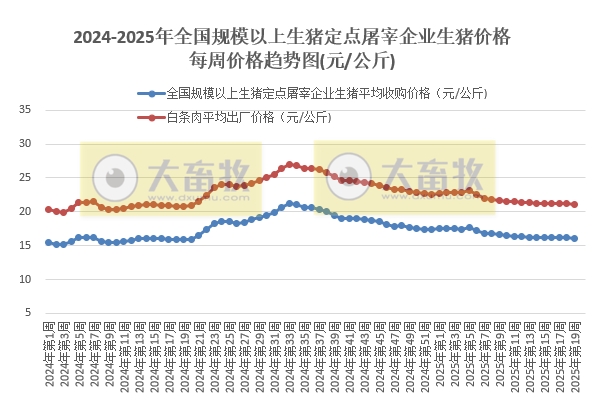 农业农村部：生猪收购价和白条肉出厂价继续下跌，跌至近1年最低——5月第2周生猪定点屠宰企业生猪收购和白条肉出厂价格情况