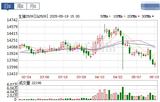 今日猪价 | 2025.05.20 猪价行情
