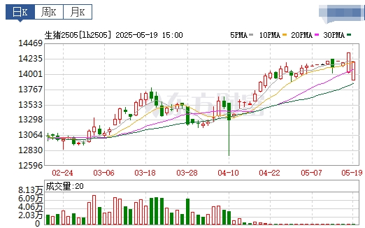 今日猪价 | 2025.05.20 猪价行情
