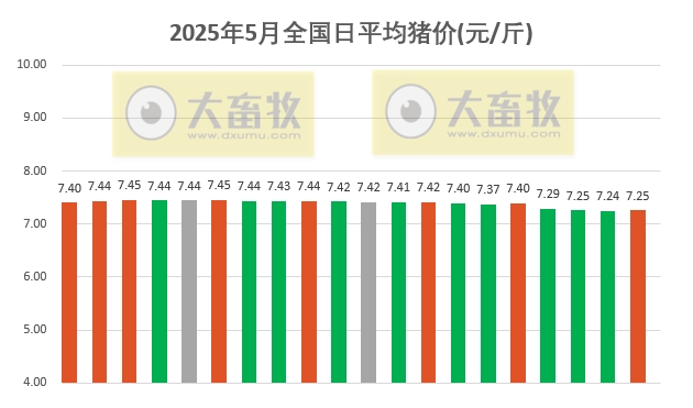 今日猪价 | 2025.05.20 猪价行情