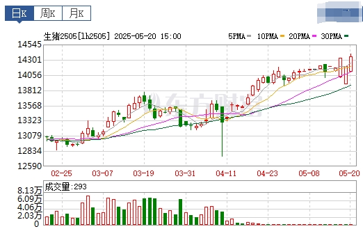 今日猪价 | 2025.05.21 猪价行情