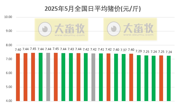 今日猪价 | 2025.05.21 猪价行情