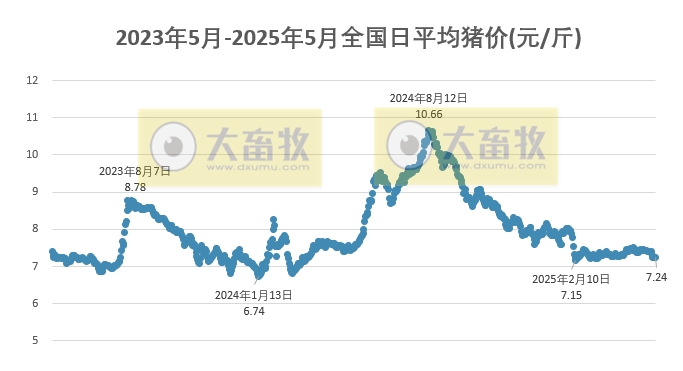 今日猪价 | 2025.05.21 猪价行情
