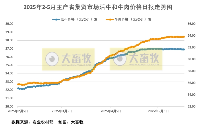 2025年5月21日活牛和牛肉价格