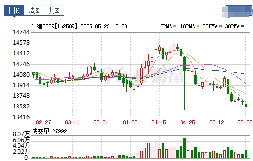 今日猪价 | 2025.05.23 猪价行情——大面积下跌,且跌至去年3月以来最低
