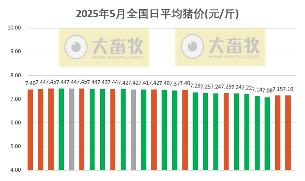 今日猪价 | 2025.05.26 猪价行情