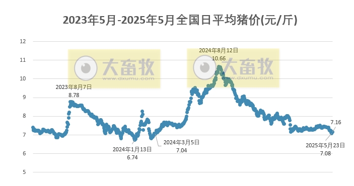 今日猪价 | 2025.05.26 猪价行情