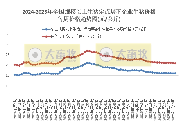 农业农村部：生猪收购价和白条肉出厂价连续3周下跌，跌至近1年最低——5月第3周生猪定点屠宰企业生猪收购和白条肉出厂价格情况