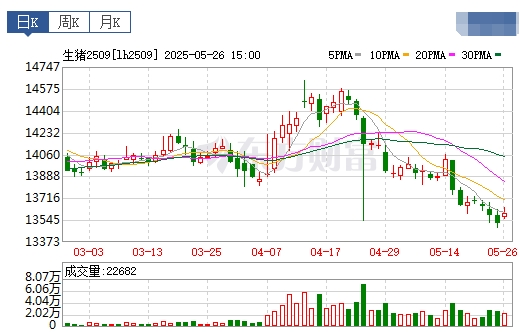今日猪价 | 2025.05.27 猪价行情