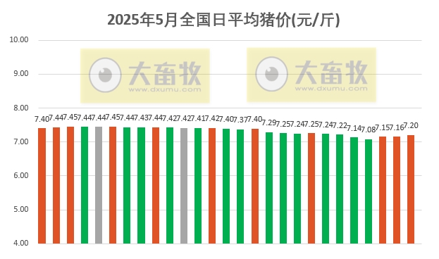今日猪价 | 2025.05.27 猪价行情
