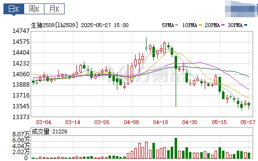 今日猪价 | 2025.05.28 猪价行情——连续4天上涨