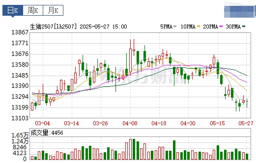 今日猪价 | 2025.05.28 猪价行情——连续4天上涨
