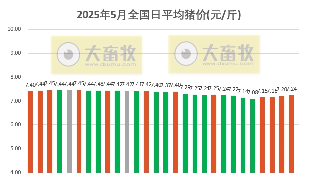 今日猪价 | 2025.05.28 猪价行情——连续4天上涨