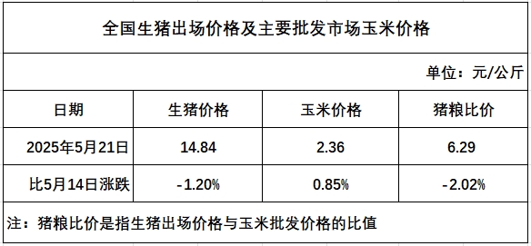 发改委:临近月末,养殖端出栏积极性不减,端午节短时提振但力度有限,预计生猪周均价或环比下滑,养殖预期利润或减少——2025年5月第3周全国猪粮比及猪价分析预测