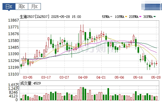 今日猪价 | 2025.05.29 猪价行情