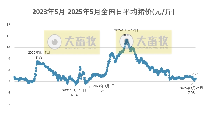 今日猪价 | 2025.05.29 猪价行情